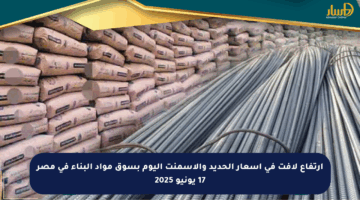 ارتفاع لافت في أسعار الحديد والأسمنت اليوم بسوق مواد البناء في مصر 17 يونيو 2025